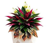 Genérico Artificial Ferns - Faux Dragon Blood Tree PE Material 42-52cm | Height 120g Set Of 3 Large Lifelike Plants | Decor For Outdoor Planters, Front Porch, Patio, Garden, Indoor Home Decor