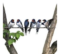 Genérico Artificial Swallow Ornaments For Outdoor Courtyard - Wrought Iron Garden Bird Decorations For Window Sills, Fences, Walls | Black Metal Swallow Set with Rust-Resistant Weatherproof Finish