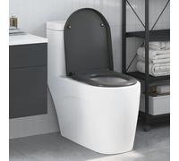 Genérico Asiento de WC Antracita 46,2 x 36 x 4,3 cm Duroplast,Bricolaje,Fontanería,Piezas y Herramientas para componentes de fontanería,Accesorios de baño y bidé,Asientos de inodoros y bidés-42002354