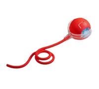 Genérico Automatic Cat Toy - Interactive Kitten Toy Ball | Fast Rolling Cat Teaser with 3 Play Modes for All Breeds | Fun, Self-Activating, Exercise & Mental Stimulation for Indoor Cats