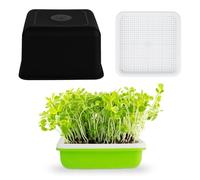 Genérico Bandejas de Semillas, bandejas de germinación de Plantas, Caja de plantación hidropónica, Kit de germinación de Gir-o de la Plantilla del alféizar de la Plantilla de Ventana, Kit de Sistemas