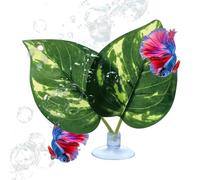 Genérico Betta Fisch Bett Blatt - Künstlich Saugnapf Ruheplattform Aquarium, Realistisch Laichplatz Guppy Schlafplatz, Simulation Natürlich Spielbereich Anreicherung, Dekoration | für Aquarium Fische