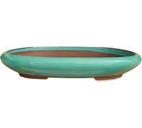 Genérico BIOMATA Maceta Bonsai Ceramica para Kifu/Shohin 16,5x13,2x3,7 cm | Tiesto Ovalado | Maceta para Bonsai Resistente a Cualquier Clima | Tiesto Ceramica con Drenaje (Verde)