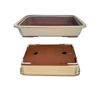 Genérico BIOMATA Maceta Bonsai Ceramica Rectangular 31.3x21.7x6.5 cm | Macetero Bonsai Hecho en Japón | Tiesto con Agujero de Drenaje | Árbol no Incluido | Crema