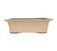 Genérico BIOMATA Maceta Bonsai Ceramica Rectangular 31x23x9 cm | Macetero Bonsai Fabricado en Japón | Tiesto con Agujero de Drenaje | Árbol no Incluido Color Crema