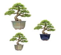 Genérico BIOMATA Macetas Bonsai Ceramica para Mame y Shohin | Set de 3 Macetas para Bonsai | Maceteros Ceramica Hechas en Japón | Macetas con Drenaje Árbol no Incluido | Ver Medidas en Las Imágenes