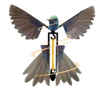 Genérico Bird Flying Toy - Kids Wind-Up Flying Hummingbird with, Styles | Outdoor Simulation Fairy F́Lying Magic Toy Gift For Kids, Boys, Girls