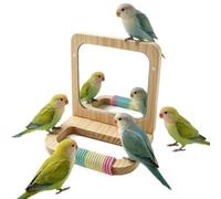 Genérico Bird Mirror For Cage | Wood Interactive Parrot Perch Stand