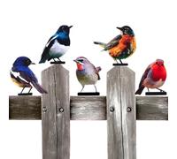 Genérico Birds Fence Decoration 5 Pieces Color Painted 2D Yard Art