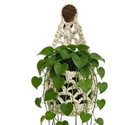 Genérico Boho Makramee Pflanzenhalter 32x16cm | Handgefertigte Blumenampel zur Wandmontage | Platzsparender Blumentopf-Halter für Zimmerpflanzen - Baumwolle Wand-Deko für Büro & Zuhause