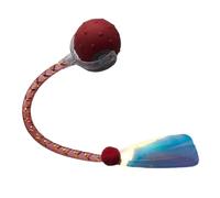 Genérico Bola para Gato,Bola de Gato Automático Inteligente con Cola de Red Elástica | Accesorios para Animales Ejercicio y Aprendizaje Rascador Suelo
