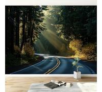 Genérico bosque soleado autopista fotográfica papel pintado 450 x 315 cm no tejido de pared, estilo de fotografía panorámica, póster de pared para decoración de apartamentos