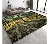Genérico Bosques Efecto Tyndall Alfombra Salon Grande Lavable en Lavadora, Naturaleza Paisaje Alfombra Pelo Corto Imitación Cachemira Abstracta Antideslizante para Dormitorio 120x180 cm D-739