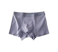 Genérico Boxer Calsonsillo para Hombre Ropa Interior Suave y Transpirable Pantalones Buen Ajuste y Diseño Sencillo Tallas Grandes Pantalones para Uso Diario y Deporte (Grey, L)