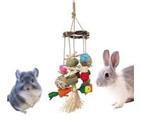Genérico Bunny Chew Toys for Teeth - Natural Buny Chew Toy Boredom Breakers | Rabbit Toy Set Natural Branch Ring | Exercise Entertainment Stimulation Gnawing Treat Hamsters Squirrel Chinchilla Pets