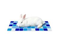 Genérico Bunny Cooling Mat - Crystal Ore 30x13.3cm | Cooling Sleeping Cushion with Naturally Cold For Small Pets | Pet Çooling Mat For Bunny Hamster Ferret Chinchilla Hedgehog Resting Use