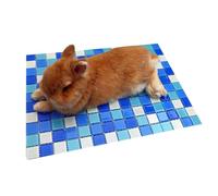 Genérico Bunny Cooling Pad - Pet Cooling Mat Chew Resistant Glass CoolingPad Lightweight Summer CoolingMat for Senior Puppy Hamster Car Crate Living Room Bedroom Home Outdoor Sleeping Use