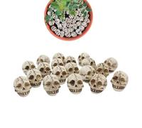 Genérico cabeza de cráneo decorativa - 20 piezas réplica de cráneo - Pequeñas decoraciones de resina relleno decoración en miniatura fiestas Halloween Biblioteca