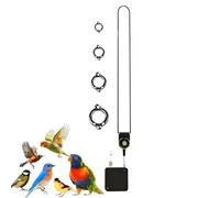 Generico Cadena de pie para - Correa retráctil de acero inoxidable, accesorio masticable para cuerda voladora para loros | Conures Lovebird Pinguelli Cockatiels Periquito Addestra