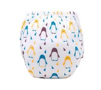 Genérico Calzoncillos Entrenamiento Niño 0-24 Meses Dibujos Lavable Reutilizable Calzoncillos Aprendizaje Niño Estampado Bragas Ropa Interior de Entrenamiento para Niños Transpirable (6-12 Meses, G)
