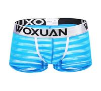 Genérico Calzoncillos Hombre - Calzoncillos Algodón Hombre sexys Transparentes de Malla Ultrafina Que no Deja para Hombre (Blue XXL)