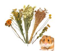 Genérico camada flores hámster - Decoración natural para jaula de gerboise | Decoración jaula hámster | para conejito pájaro camping temáticas Navidad Pascua Acción de Gracias Festivales de