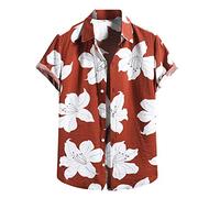 Genérico Camisa De Lino Hombre Manga Corta - Camisetas Algodón Button Top Fashion Blase Short Sleeve Hombre Lino Estampada