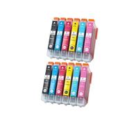 Genérico Cartucho de Tinta 24XL 24 para T2431 T2432 XP-55 XP-750 XP-760 | Juego de cartuchos 24 y 24XL, tinta dye, 13 ml por cartucho(2SET BK CMY LC LM)