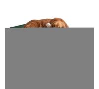Generico Caseta para perros elevada de exterior - Caseta para perros levantada de exterior transpirable, hamaca resistente y refrescante para ancianos, cachorros, gatos, interiores, viaje, camping