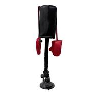 Genérico Cat Boxing Toy - Interactive Kitten Boxing Toy for Indoor Cats - Play Sandbag with Gloves Teaser Companion Pet Supplies with Catnip for Small Breeds Enrichment Exercise, 29.2x14cm