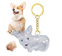Genérico Cat Cabin Keychain: soporte de memoria portátil para hombres, mujeres con función emocional, colgante de cabello para perros para bolso, bolsa, resina auténtica, recuerdo, uso de, mochila