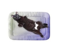 Genérico Cat Cooling Pad, Dog Cooling Mat, Portable Bed Crates For Puppy Rabbits Travel Hamsters Cats Kitchen Puppies Comfortable Relaxation Indoor Outdoor