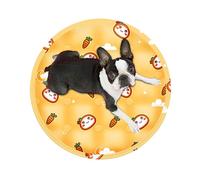 Genérico Cat Cooling Pad, Pet Chill Mat, Small Animal Cushion, Soft Ice Material, Waterproof Round Design, Indoor Car Travel Use, 45x45cm/17.72x17.72 Inches, Blue, 1 Piece, 1120g