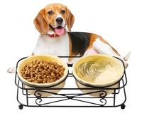 Genérico Cat Dish - Tazón de cerámica con soporte, Elevated Station, Double Pet Set, Comfortable Puppy Kitten Food Water Holder | for Small Dogs Cats Indoor Outdoor Daily Feeding Supplies