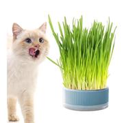 Genérico Cat Grass Box - Planting Box No Soil Catnip Planter, Hydroponic Grass Planter, No Soil Graass Aid Digestion, Outdoor Cat Grrass Boxs, for Home and Household