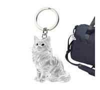 Genérico Cat Keychain - ABS | Cat Shape Key Ring | Pet Hair Collector Keepsake Pendant With Keychain | Animal Keepsake Box For Backpack Purse Keychains Wallet Bag Charms