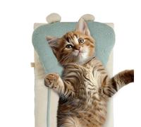 Generico Cat Mat Bed, Dog Bed, Indoor Outdoor Soft Multifunctional Comfortable Frannel Lightweight Stylish Spacious Resting Pet Mat for Pets, 25.98x16.54 Inches, Blue Pink