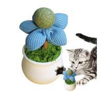Genérico Catnip Toys - Catnip Pot | Flower Pot Design Natural denntal Licking Balls Sticks for Kittens Silvervine Chew Sticks Kitten Entertainment Pet Supplies For Playing Chewing Teeth