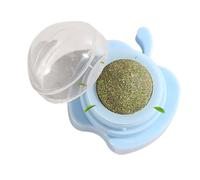 Generico Catnip Wall Toys, Cat Chew Toy, Decoration, Catnip-Infused Kitten Playing Chewing Cleaning Teeth Toy Entertaining For Cats