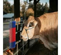 Genérico Cepillos para Ganado Rojo y Azul 20 x 9 x 50 cm,Economía e Industria,Agricultura,Cría de animales-42006831