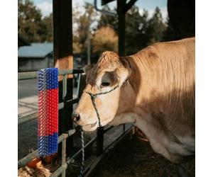 Genérico Cepillos para Ganado Rojo y Azul 20 x 9 x 50 cm,Economía e Industria,Agricultura,Cría de animales-42006831