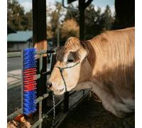 Genérico Cepillos para Ganado Rojo y Azul 50 x 10 x 6.5 cm,Economía e Industria,Agricultura,Cría de animales-42006834