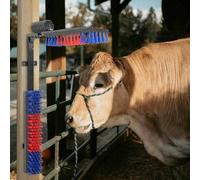 Genérico Cepillos para Ganado Rojo y Azul 84 x 10 x 91 cm,Economía e Industria,Agricultura,Cría de Animales,Rojo,7.38 KG,42006837