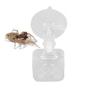 Genérico Chameleon Food Bowl, Reptile Feeder Suction Cup, Anti-Spill Water Tray, Habitat Decor Feeding Dish for Lizards, Tree Frogs, Spiders, Chameleons, Terrarium, Vivarium, Glass Wall