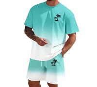 Genérico Chándal Hombre Hawaii 2 Piezas Traje Deportivo de Verano Estampado 3d Conjunto de Ropa Camisetas Manga Corta con Cuello Redondo Shorts Conjunto Verano para Hombres