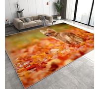 Genérico Chihuahua Alfombra Salon Grande Lavable en Lavadora, Otoño Cachorro Alfombra Pelo Corto Imitación Cachemira Abstracta Antideslizante para Dormitorio 60x90 cm D-610