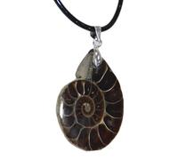 Genérico Colgante Fósil Ammonite Natural - Collar Fósiles Ammonite