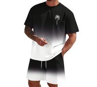 Genérico Conjunto de Deporte para Hombre,Traje Verano 2 Piezas Camisetas Sueltas Hombres Traje Entrenamiento Ocio días calurosos Vacaciones Playa Suelta