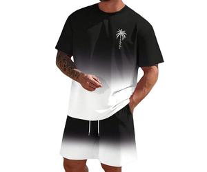 Genérico Conjunto de Deporte para Hombre,Traje Verano 2 Piezas Camisetas Sueltas Hombres Traje Entrenamiento Ocio días calurosos Vacaciones Playa Suelta