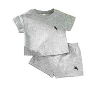 Genérico Conjunto Deportivo Dos Piezas Bordado Caballo 2026 para Niño, Camiseta Manga Corta y Pantalones Cortos Cómodos para Jugar al Aire Libre (Grey, 2-3 Years)